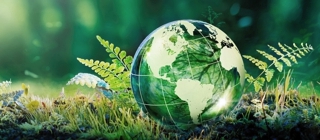 Energy transition courses - a picture of a miniature globe in green lying in green nature surroundings / © iStockPhoto
