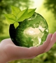 Green globe / (c) Pixabay